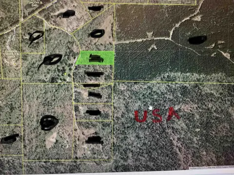 Flat Hunting Land Near National Forest