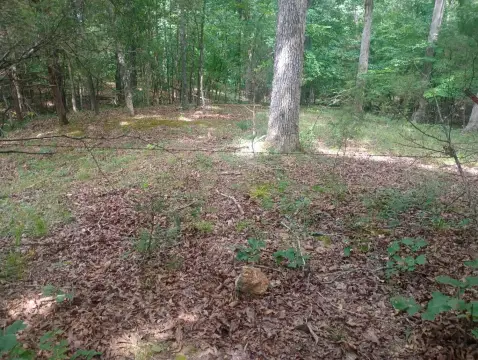 Surveyed Hunting Land with Pond