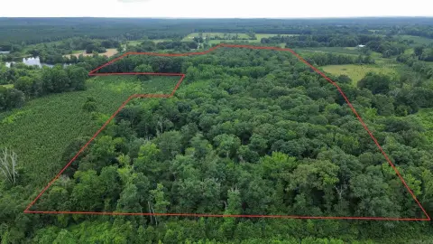 Hardwood Timber Hunting Tract