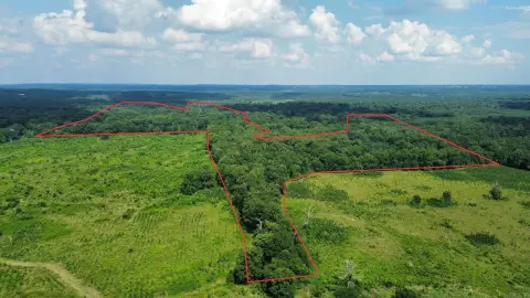 Hardwood Timberland with River Frontage