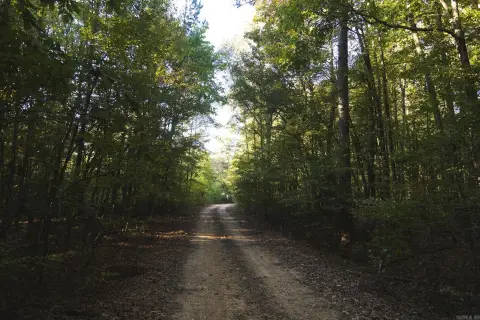 Timber and Recreation Land Tract