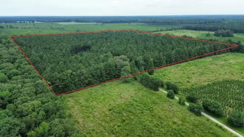 Timber and Hunting Recreation Land