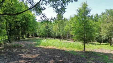 Surveyed Acreage with Cleared Land