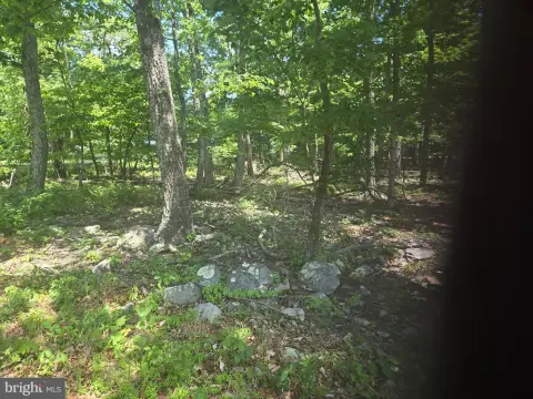 Flat Lot in Winchester, VA