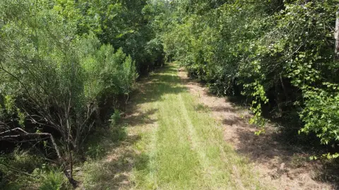 Recreational Hunting Land with Trails