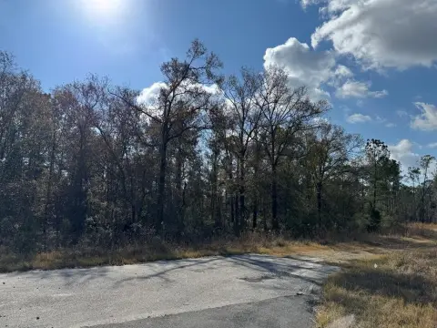 Residential Lots in Douglas, Georgia