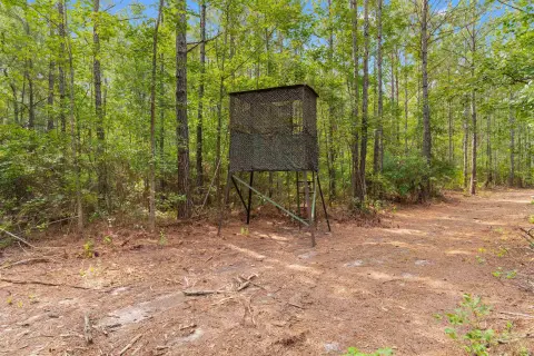 Hunting Land with Internal Roads