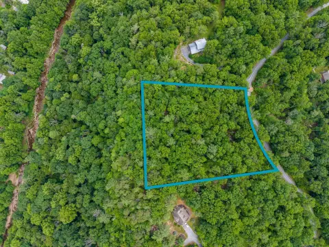 Agricultural Building Lot Adjacent to Forest