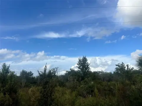 Okeechobee Land Near State Park