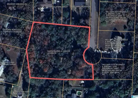 Residential Land in Lincoln, AL