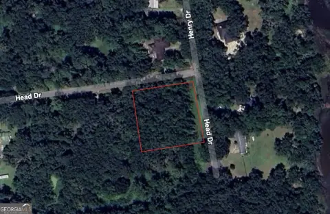 Residential Land in Brunswick, Georgia