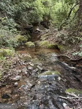 8 Acres Wooded Land in Lula