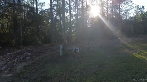 Half-Acre Buildable Lot