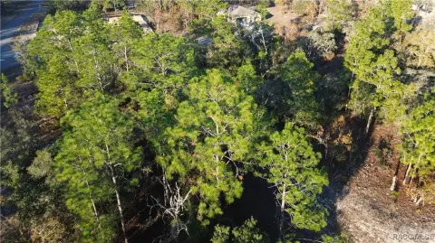 Citrus Springs Corner Lot Opportunity