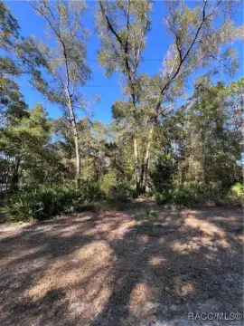 Corner Lot in Summerfield, FL
