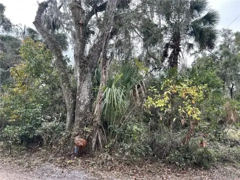 Residential Land in Inverness, FL