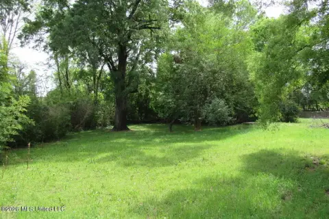 Land Near Belhaven Heights Park
