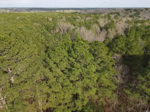 Hunting Land with Timber