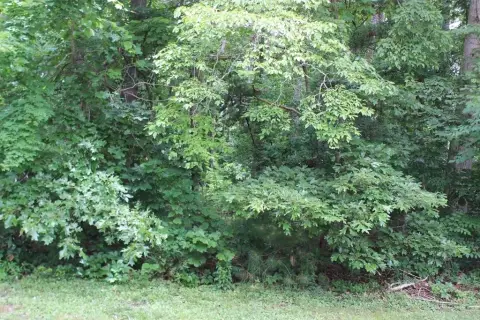 Wooded Lot in Captains Cove