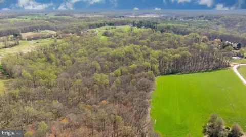 Woodland Wonder on 15.7 Acres