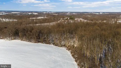 Woodland Wonder Land in White Hall