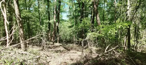 South Pittsburg Wooded Homesite Opportunity