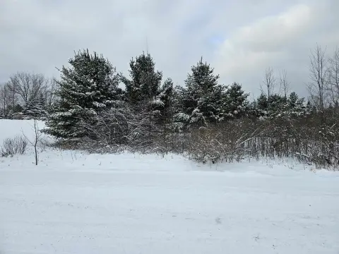 Residential Land in Gladwin, MI