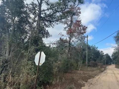 Land Parcel in Douglas, GA