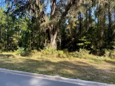 Coastal Land Near Jekyll Island