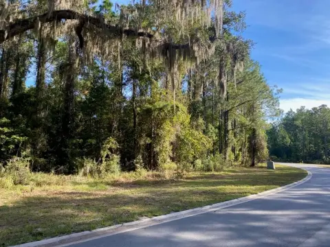 Coastal Land Near Jekyll Island