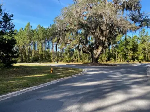 Coastal Land Near Jekyll Island