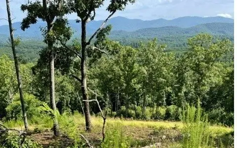 Lake Access Land in Blairsville
