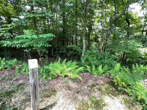 Hiawassee Vacant Lot in Gated Community