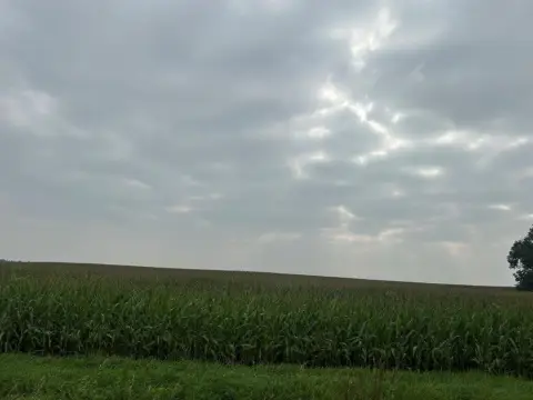 Renville County Farmland Opportunity