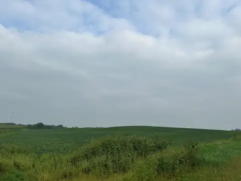 Productive Farmland in Renville County