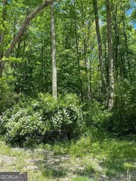 Blue Ridge Acreage Near Downtown