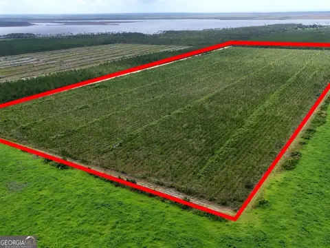 Recreational Land with Planted Pines