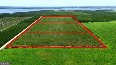 Agricultural Land with Planted Pines
