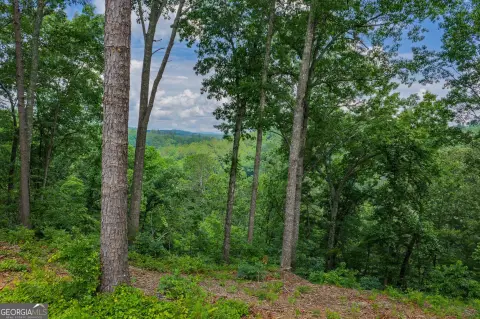 Waterfront Homesite with Creek Access