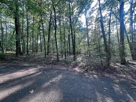 Residential Lot in Hot Springs