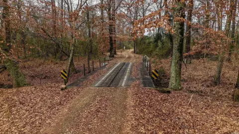 Managed Hunting Land with Creek