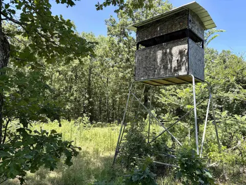 Mixed Timber Hunting Tract