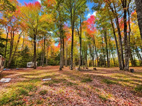Hunting Land with Cabin