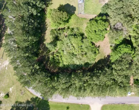 Vacant Land in Moselle, MS