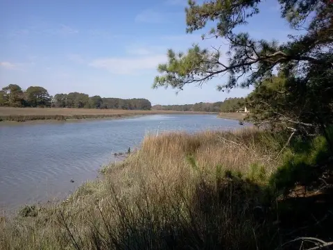 Land Near Creek in Parksley