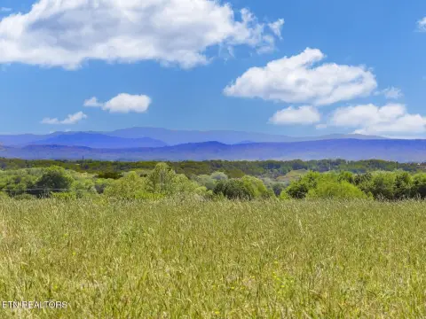 Land with Mountain View
