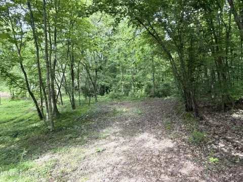 Cleared Land Ready for Development