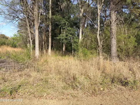 Roanoke Rapids Wooded Residential Lot