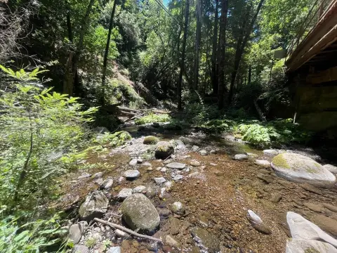 Timber Production Recreation Land Parcel