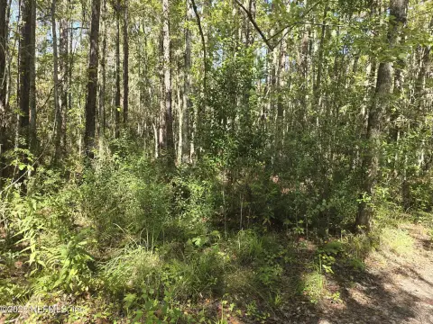 Vacant Land in Middleburg, FL